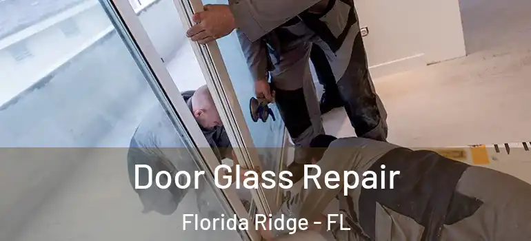  Door Glass Repair Florida Ridge - FL