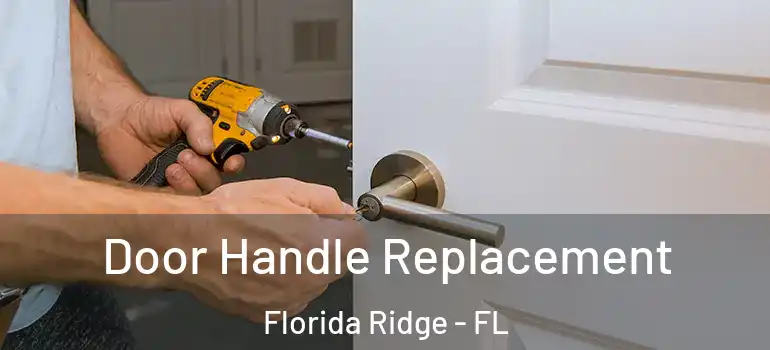  Door Handle Replacement Florida Ridge - FL
