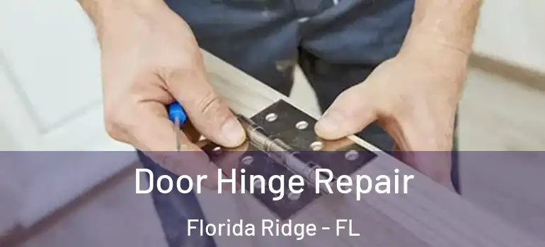  Door Hinge Repair Florida Ridge - FL