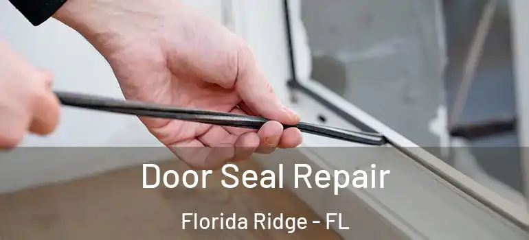  Door Seal Repair Florida Ridge - FL