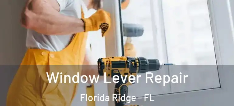  Window Lever Repair Florida Ridge - FL