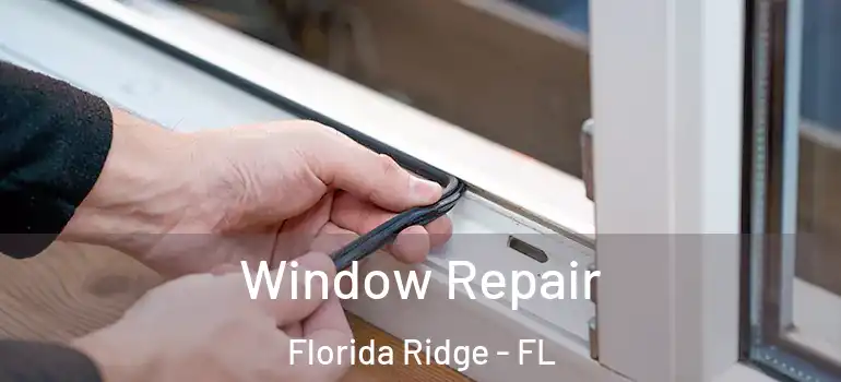  Window Repair Florida Ridge - FL